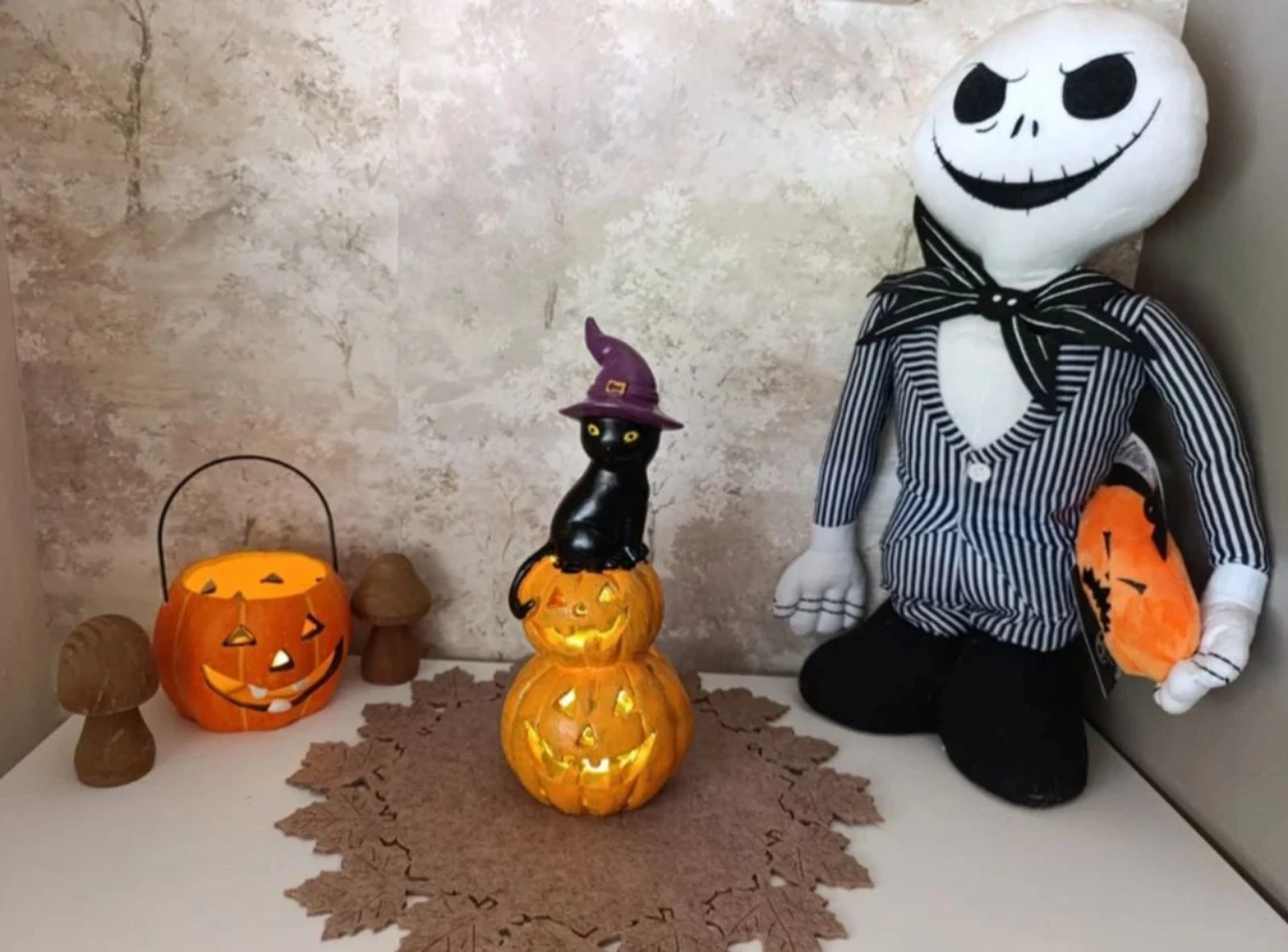 Calabazas con gato